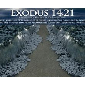 exodus