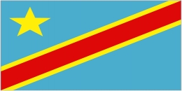 The Democratic Republic Of The Congo Flag