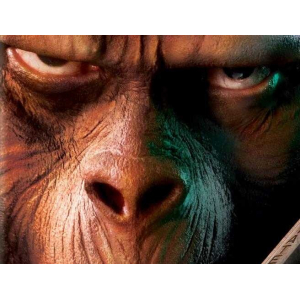 big_gorilla