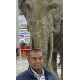 suresh's Picture