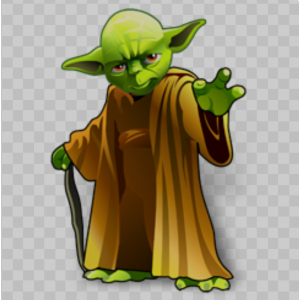master_sap