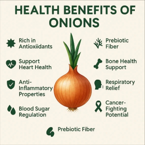 onion41b