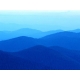 mrdunn12's Picture